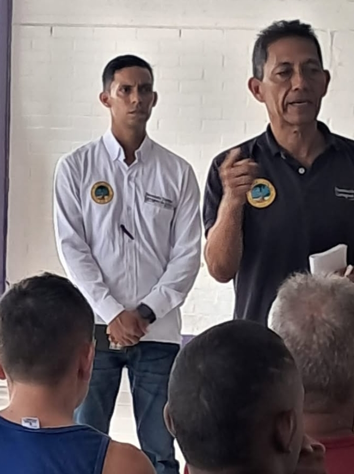 descripción de la imagen