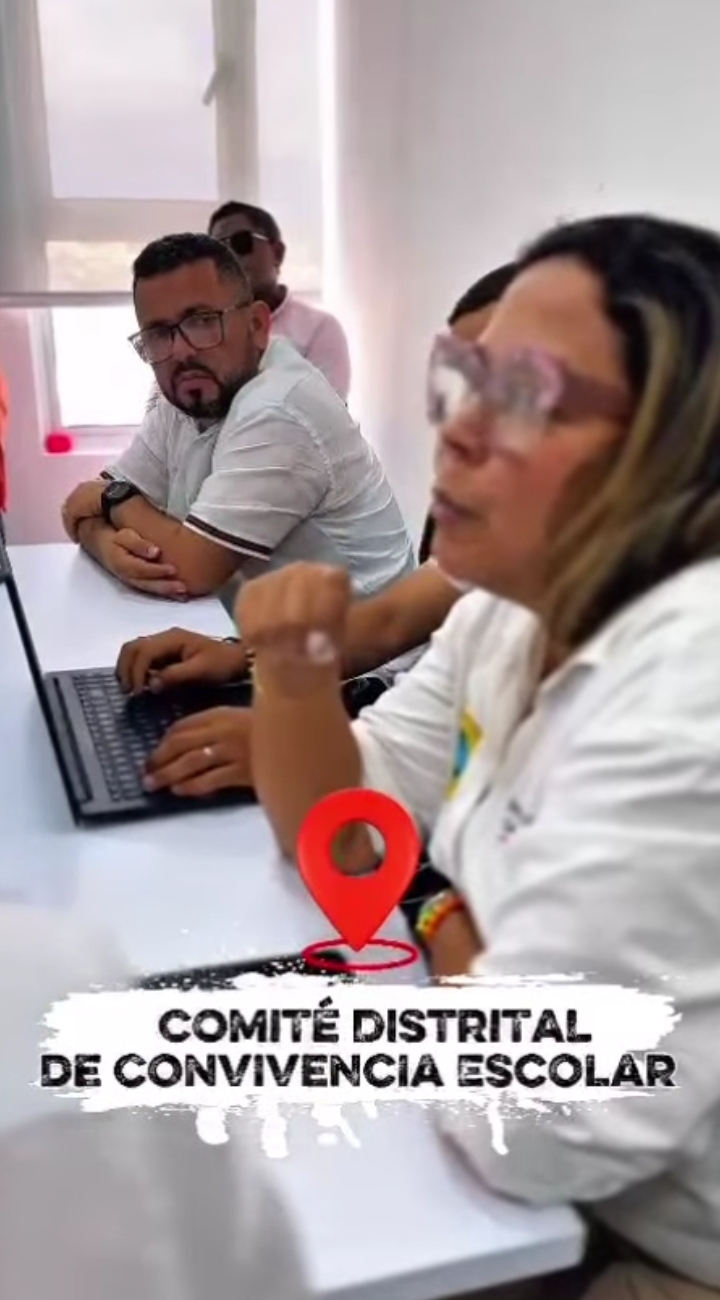 COMITÉ DE CONVIVENCIA ESCOLAR 