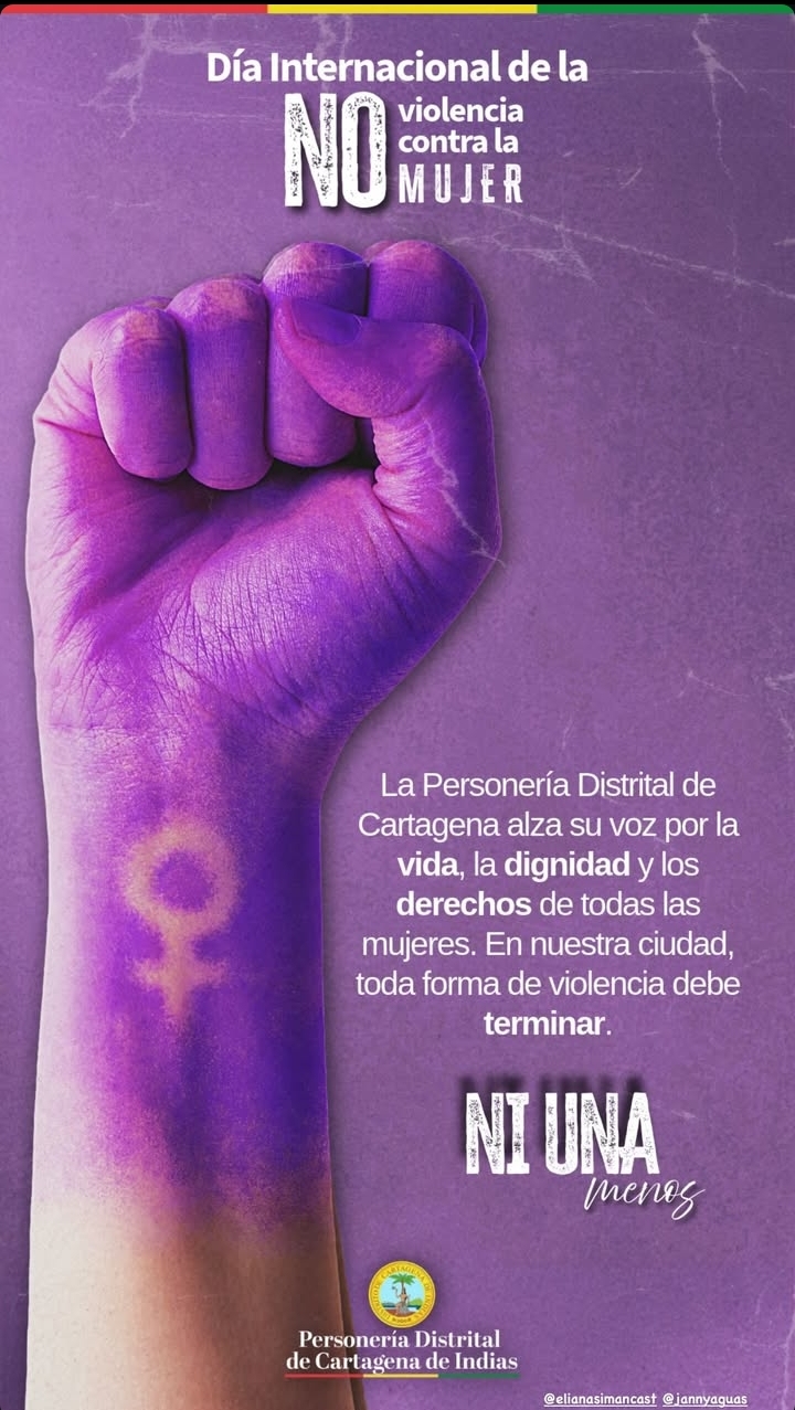 DÍA INTERNACIONAL DE LA NO VIOLENCIA CONTRA LA MUJER 
